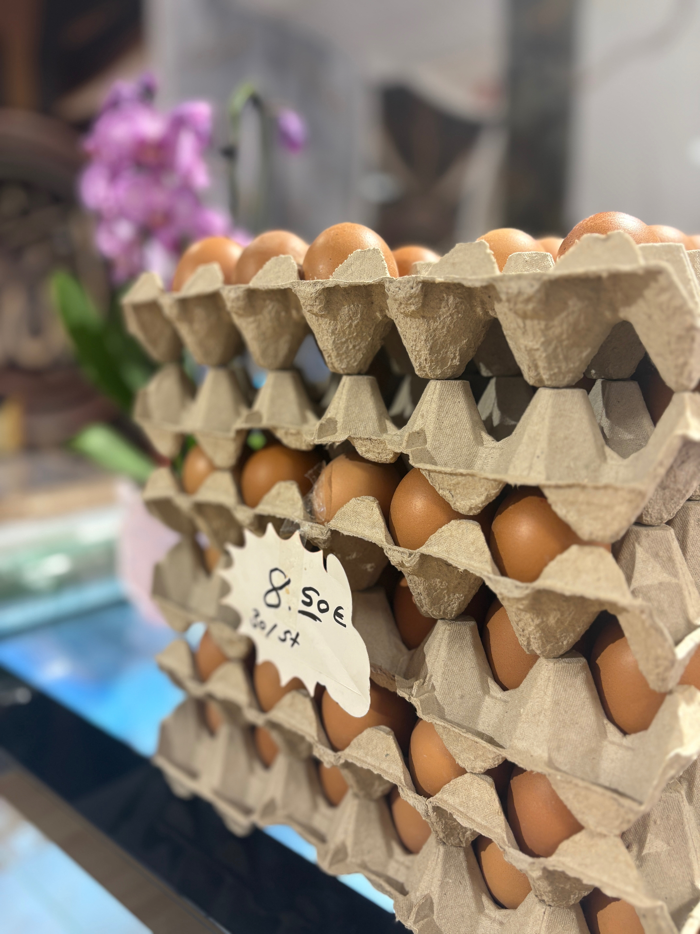 Frische Eier in Kartons im Safran-Markt